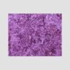 Purple Granite Price