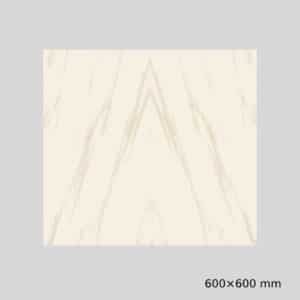 Gujarath Floor Tiles