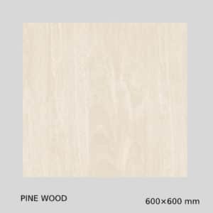 Gujarath Floor Tiles