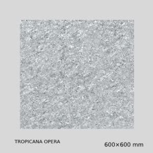 Gujarath Floor Tiles